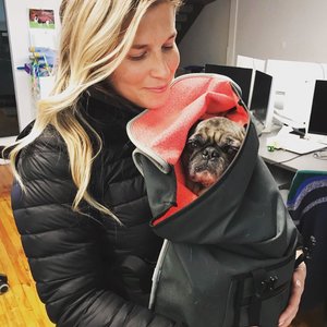 KimHarper's avatar