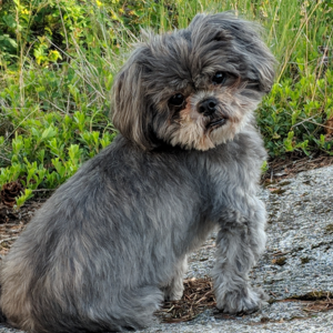 SusanPorter-e34's avatar