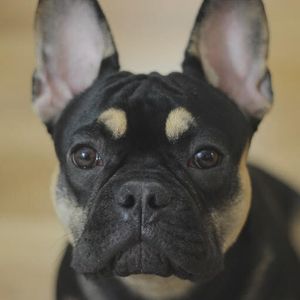 JoshuaBesser864's avatar