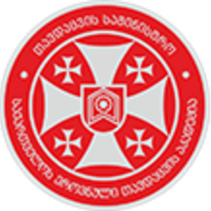 shalvageladze's avatar