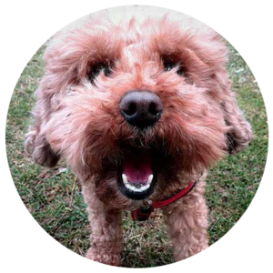 FabrizioParenza's avatar