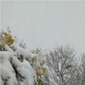 samanthasmith's avatar