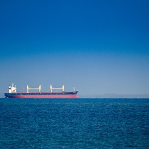 AlexTaimuri's avatar