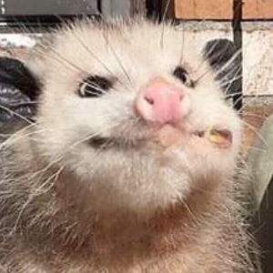 StassIoujanina's avatar
