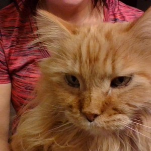 DonnaSides-ae7a's avatar