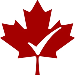 DomenicPedulla's avatar