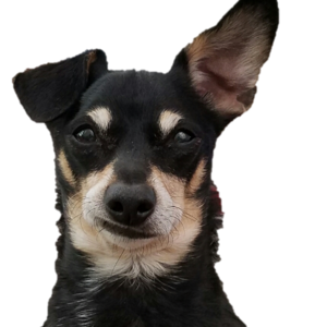 KatherineOtis's avatar